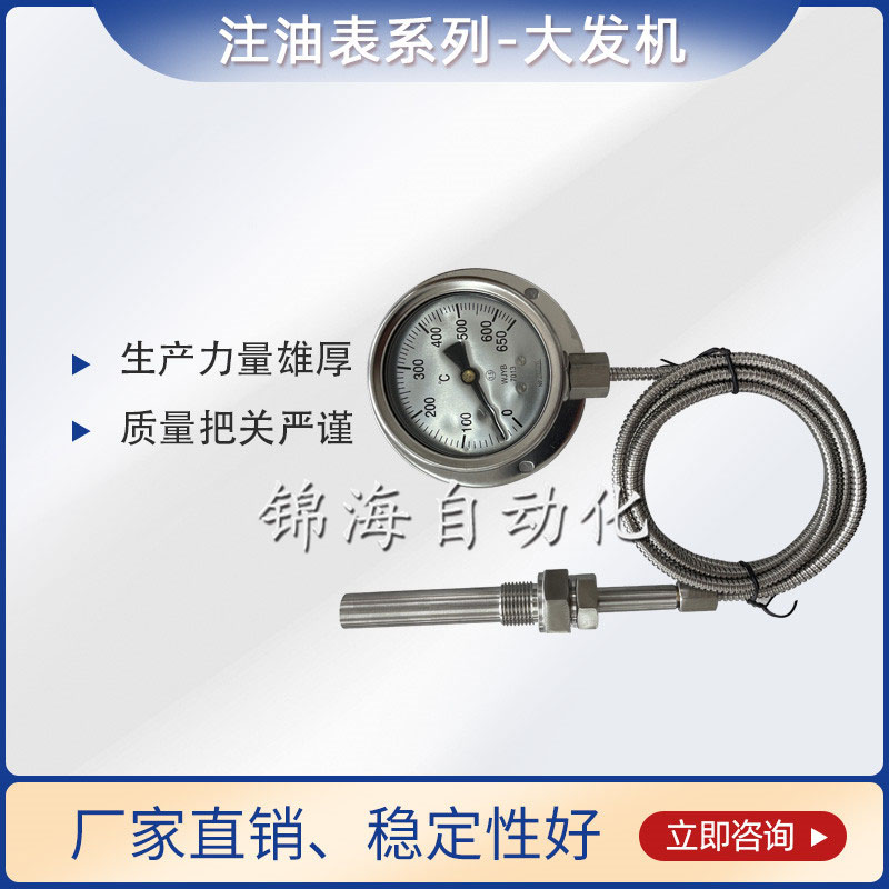 WQTN耐震壓力式溫度計
